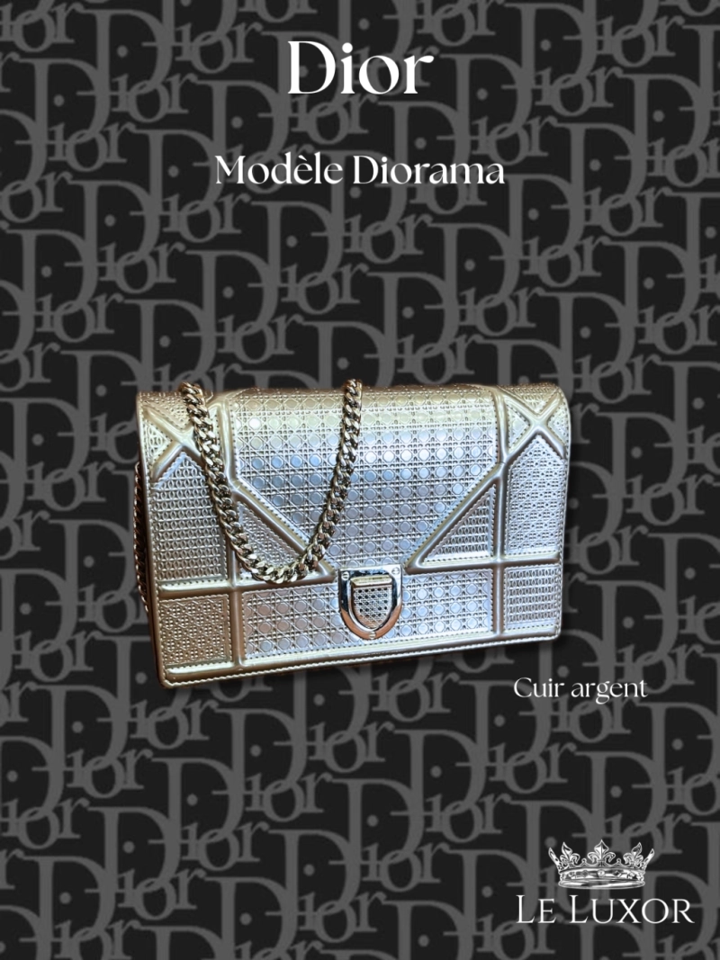 Sac Dior Diorama