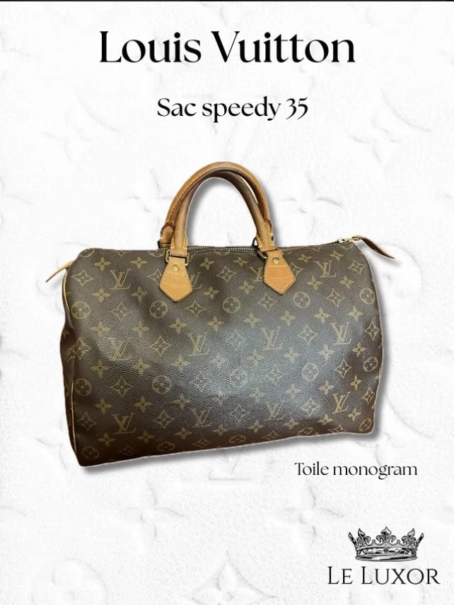 Sac Louis Vuitton Speedy 35